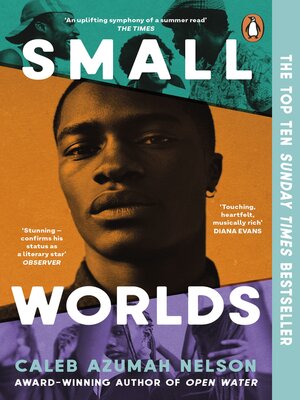Small Worlds - ebook